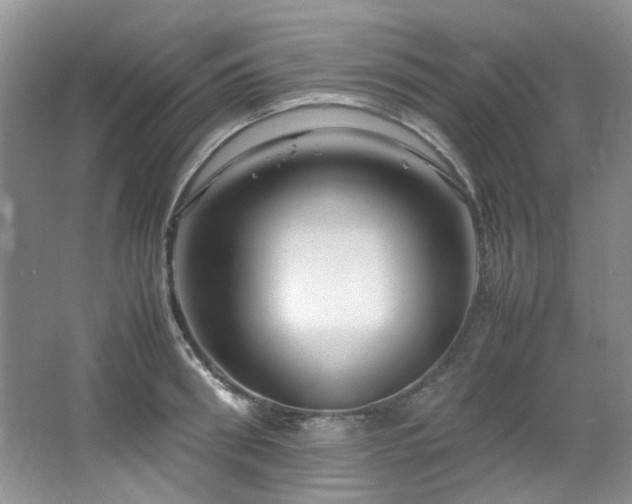 X0000064730898200602101147