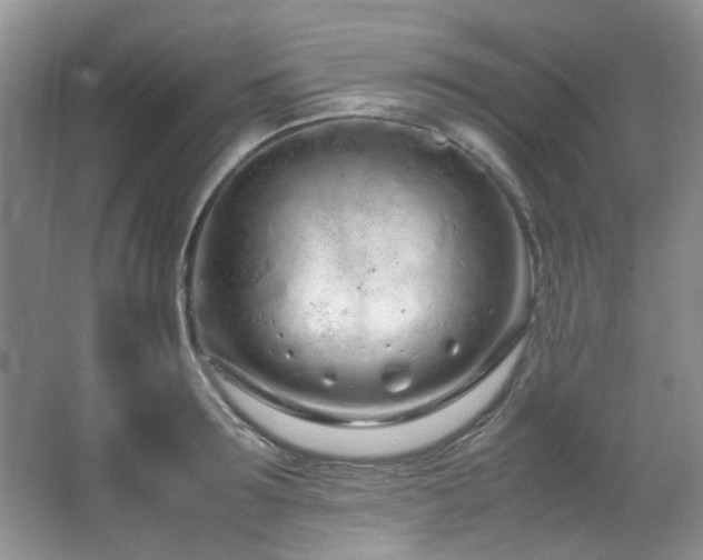 X0000064730899200602101147