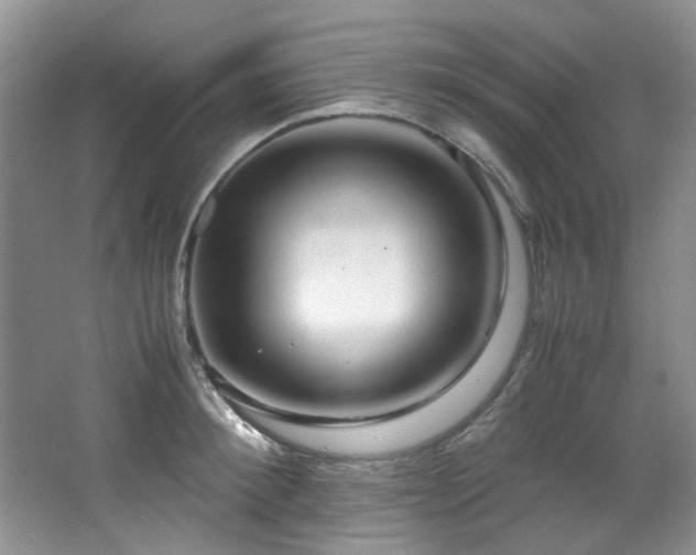 X0000064730900200602101147