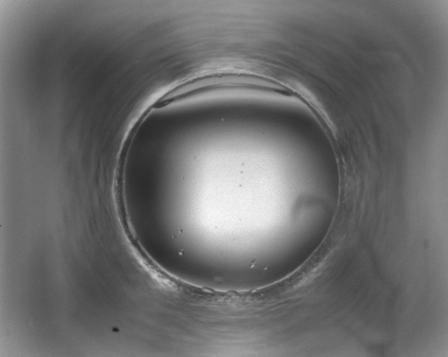 X0000064730901200602101147