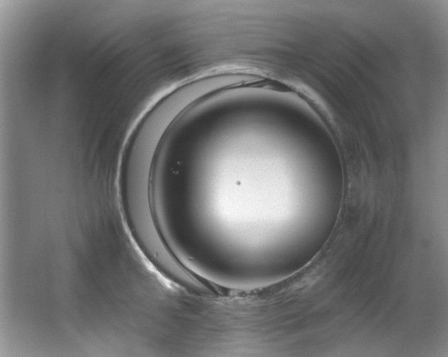 X0000064730902200602101147