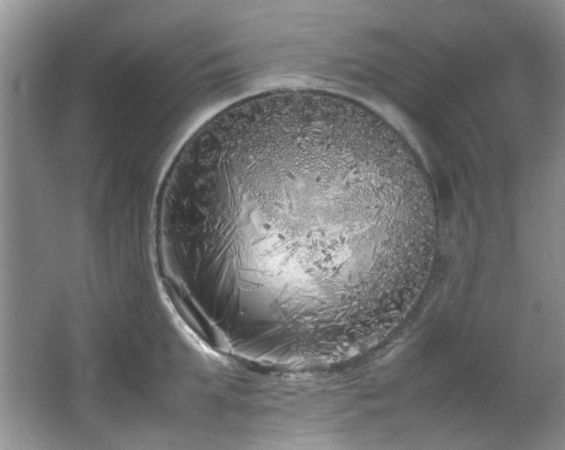 X0000064730903200602101147