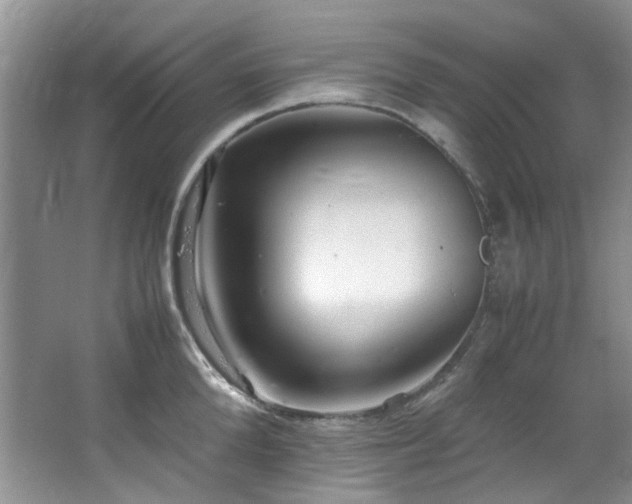 X0000064730904200602101147