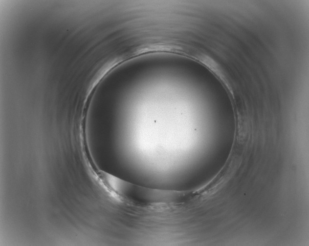 X0000064730906200602101146