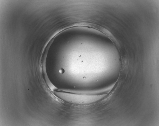 X0000064730908200602101146