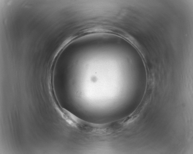 X0000064730909200602101146