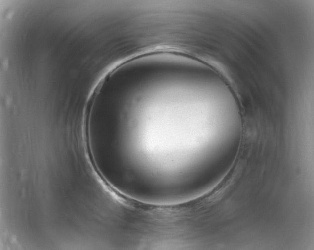 X0000064730910200602101146