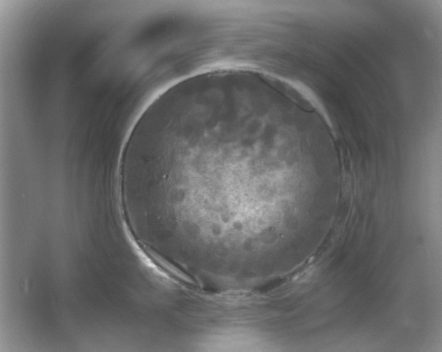 X0000064730911200602101146