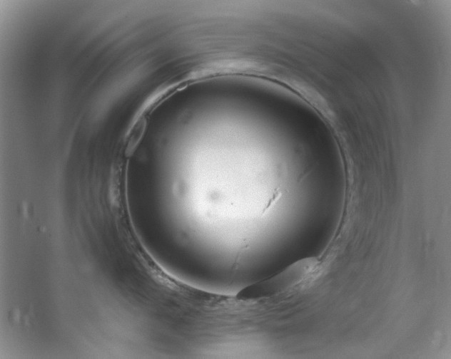 X0000064730912200602101146