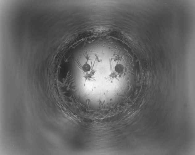 X0000064730913200602101146