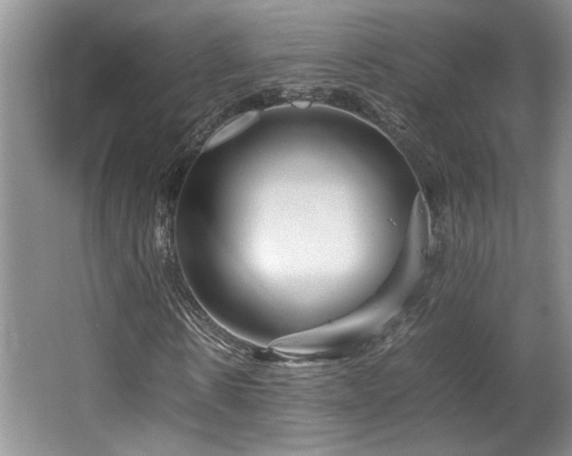 X0000064730914200602101146