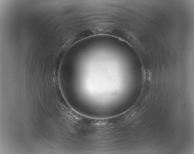 X0000064730915200602101146