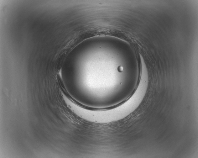 X0000064730916200602101146