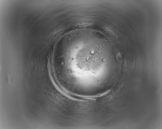 X0000064730917200602101146