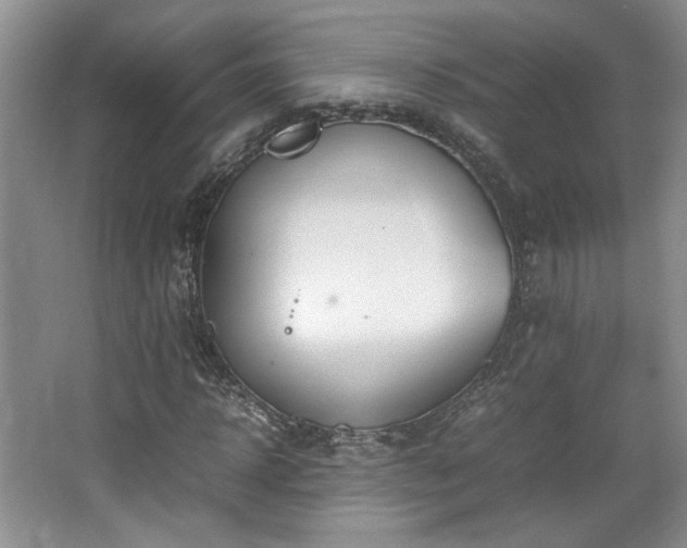 X0000064730918200602101146