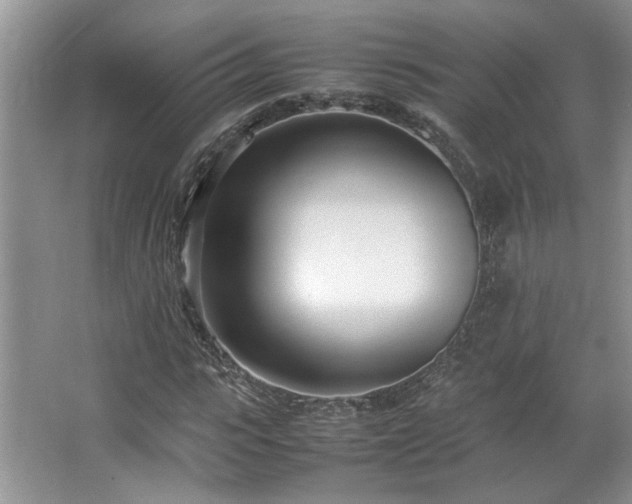 X0000064730919200602101146