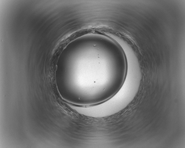 X0000064730920200602101146