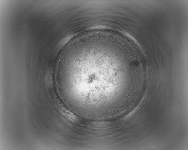 X0000064730921200602101146