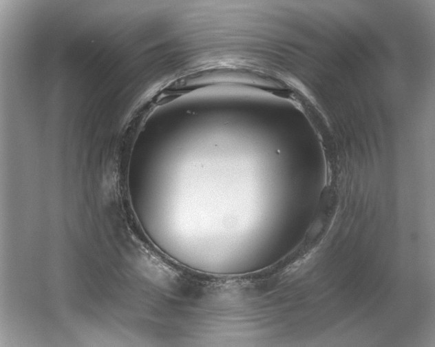 X0000064730922200602101146