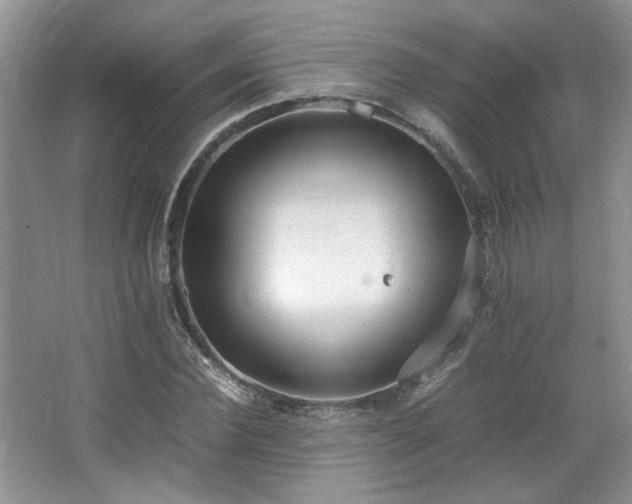 X0000064730924200602101146