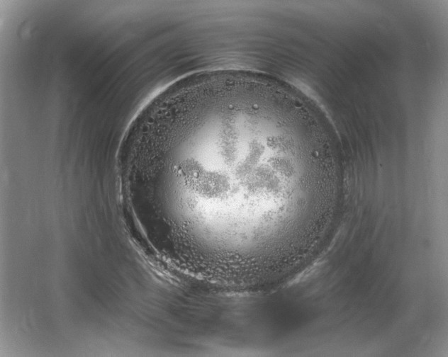 X0000064730925200602101146