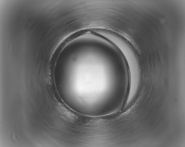 X0000064730926200602101146