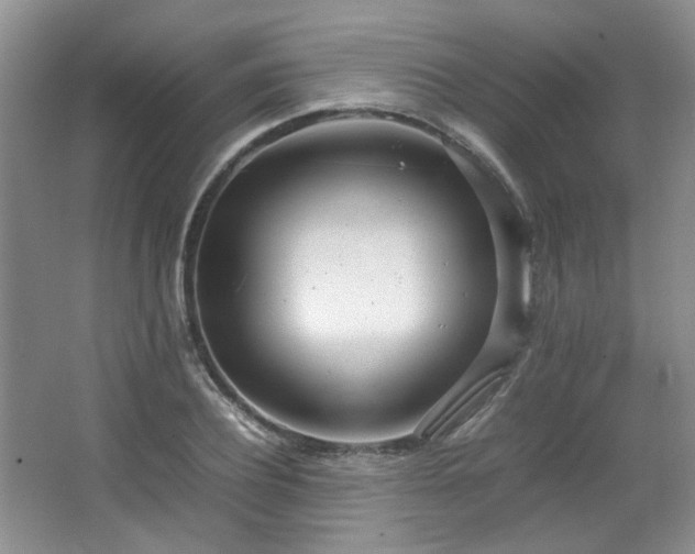 X0000064730932200602101146