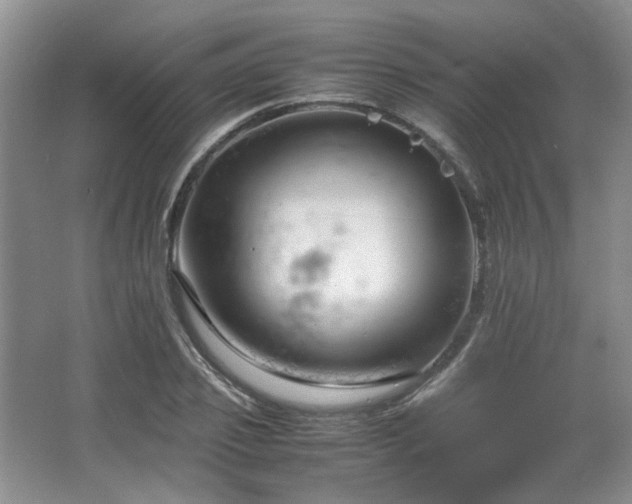 X0000064730933200602101146