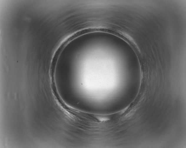 X0000064730935200602101146