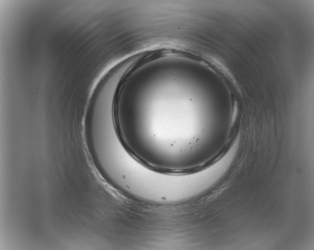 X0000064730936200602101146