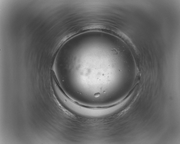 X0000064730937200602101146