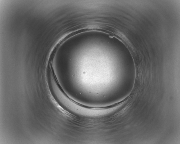 X0000064730939200602101146