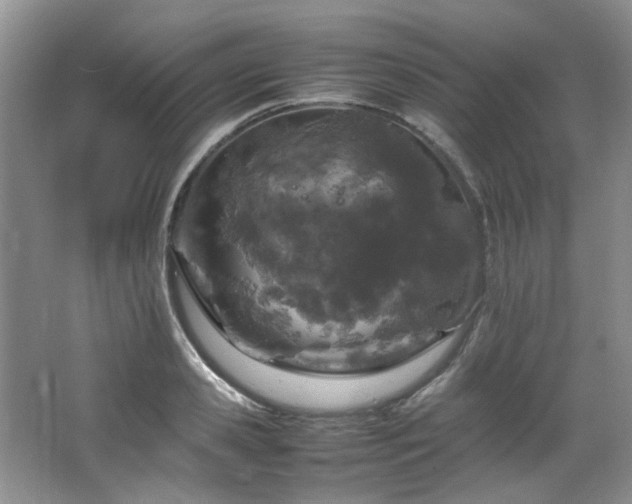 X0000064730941200602101146