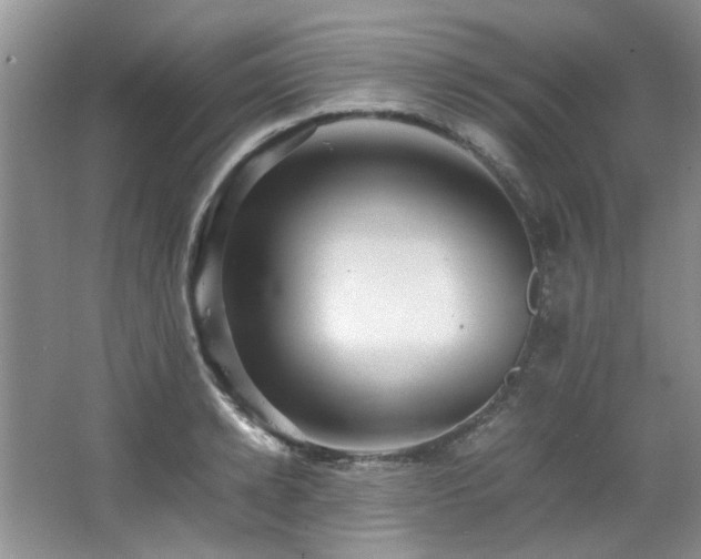 X0000064730942200602101146