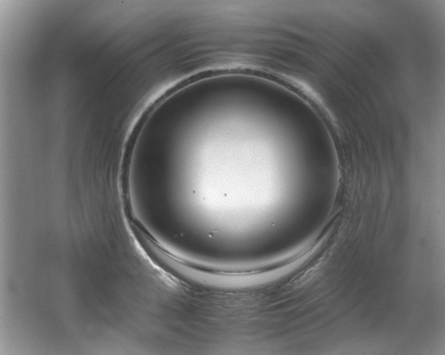 X0000064730943200602101146