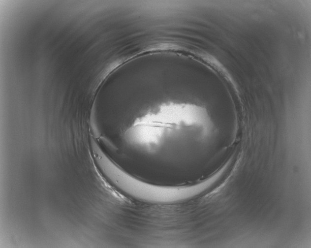 X0000064730945200602101146