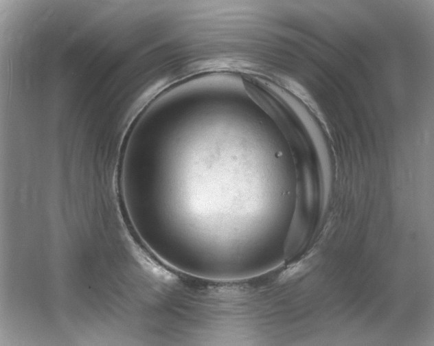 X0000064730946200602101146