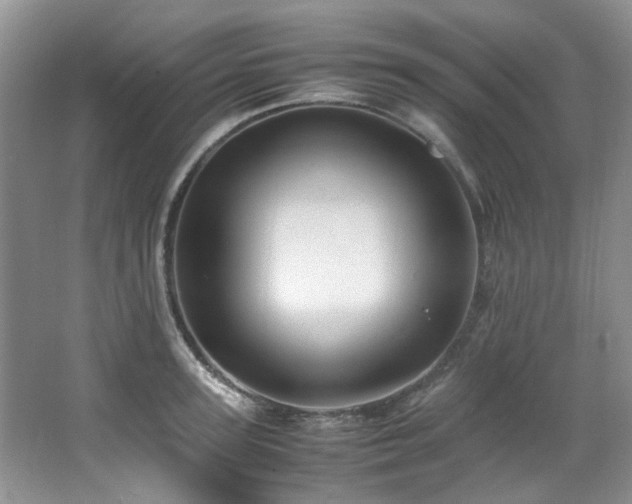 X0000064730947200602101146