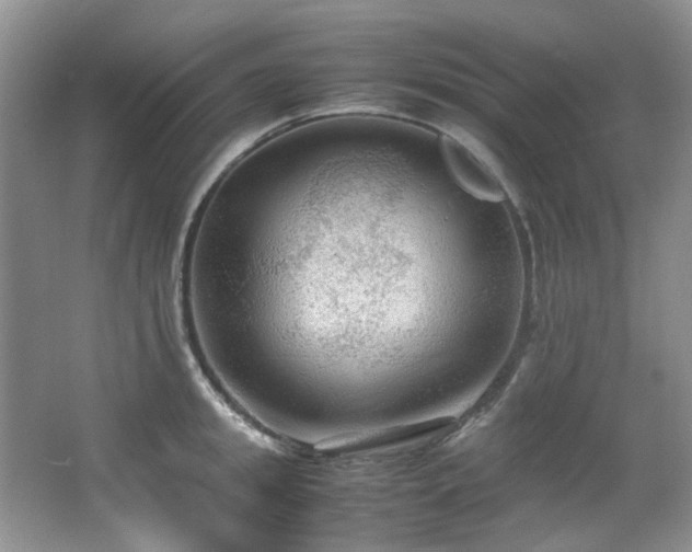 X0000064730949200602101146