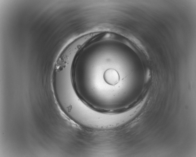 X0000064730950200602101146