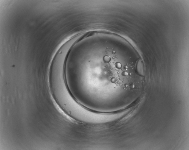 X0000064730957200602101146