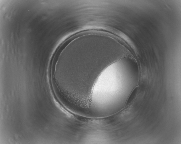 X0000064730958200602101146