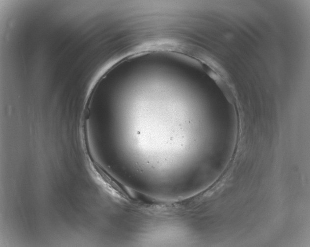 X0000064730960200602101146