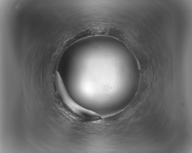 X0000064730961200602101146