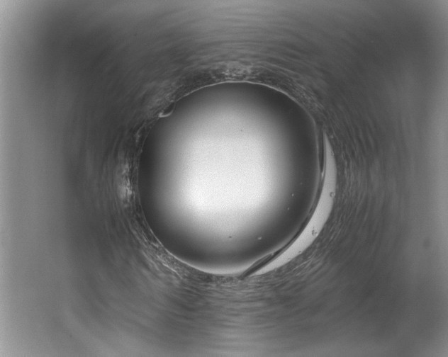 X0000064730962200602101146