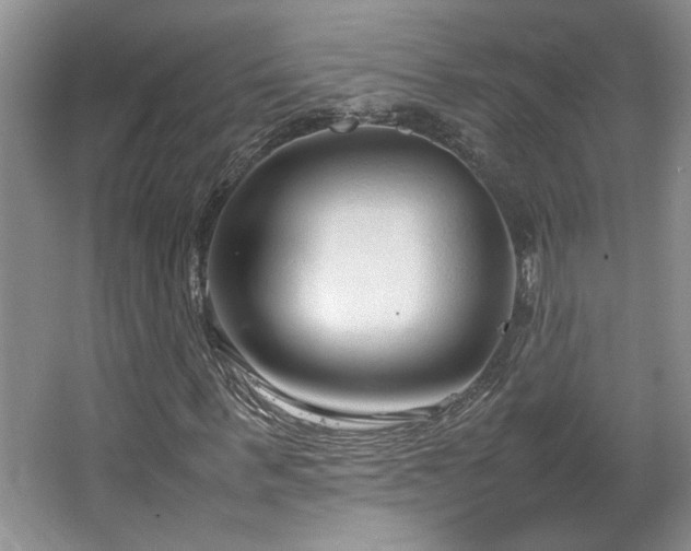 X0000064730963200602101146