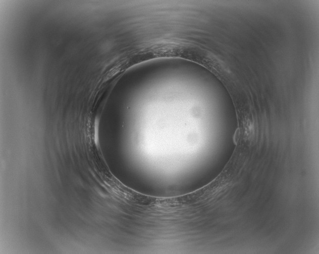 X0000064730964200602101146