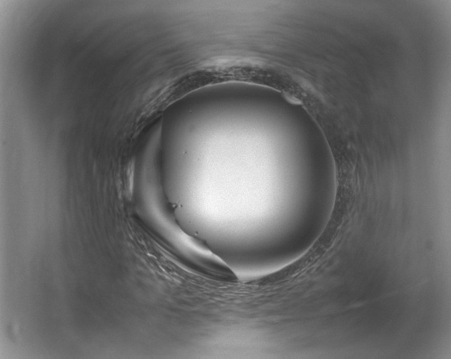 X0000064730965200602101145