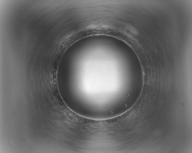 X0000064730966200602101145