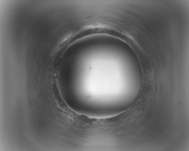 X0000064730967200602101145